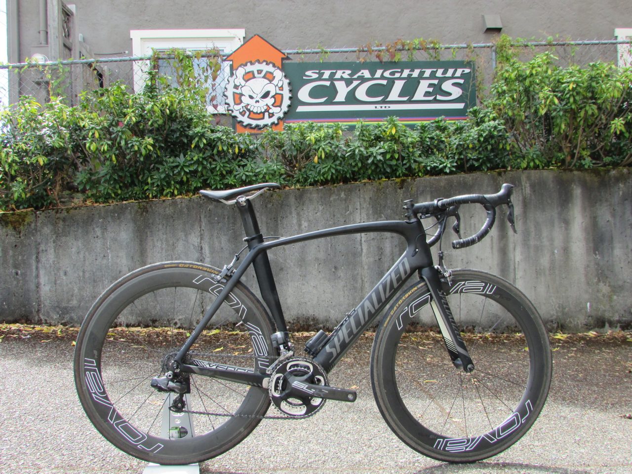 Specialized Expert